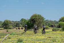 Botswana-Mashatu-Tuli Mountain Biking Safari